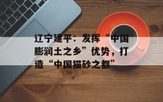 辽宁建平：发挥“中国膨润土之乡”优势，打造“中国猫砂之都”