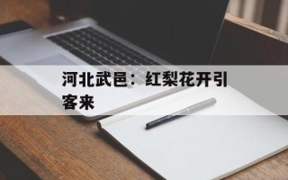 河北武邑：红梨花开引客来