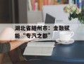 湖北省随州市：金融赋能“专汽之都”