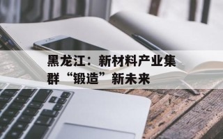 黑龙江：新材料产业集群“锻造”新未来