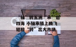 “轴”转五洲“承”运四海 小轴承插上腾飞翅膀“转”出大市场