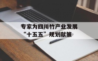 专家为四川竹产业发展“十五五”规划献策
