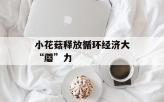 小花菇释放循环经济大“蘑”力