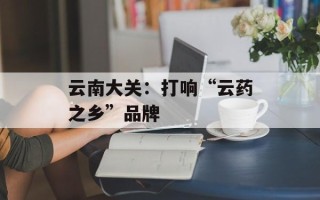 云南大关：打响“云药之乡”品牌
