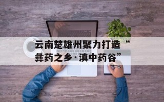 云南楚雄州聚力打造“彝药之乡·滇中药谷”