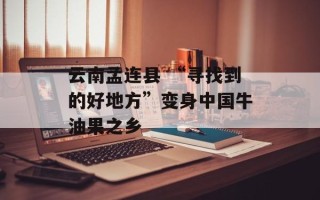 云南孟连县 “寻找到的好地方”变身中国牛油果之乡