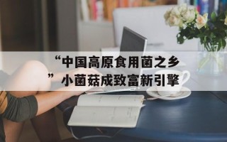 “中国高原食用菌之乡”小菌菇成致富新引擎