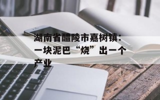 湖南省醴陵市嘉树镇：一块泥巴“烧”出一个产业
