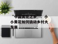 “中国黄花之乡”：小小黄花如何撬动乡村大发展
