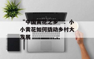 “中国黄花之乡”：小小黄花如何撬动乡村大发展
