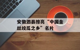 安徽泗县擦亮“中国金丝绞瓜之乡”名片