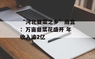 “河北韭菜之乡”南宫：万亩韭菜花盛开 年收入逾2亿