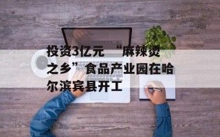 投资3亿元 “麻辣烫之乡”食品产业园在哈尔滨宾县开工