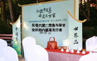 花香六堡：传承与荣誉交织的六堡茶先行者
