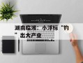 湖南临湘：小浮标“钓”出大产业