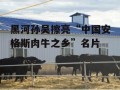 黑河孙吴擦亮“中国安格斯肉牛之乡”名片