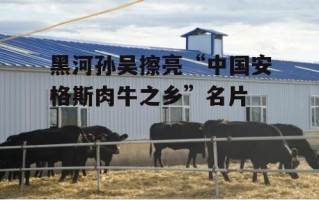 黑河孙吴擦亮“中国安格斯肉牛之乡”名片