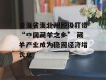 青海省海北州积极打造“中国藏羊之乡” 藏羊产业成为稳固经济增长点