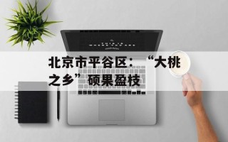北京市平谷区：“大桃之乡”硕果盈枝