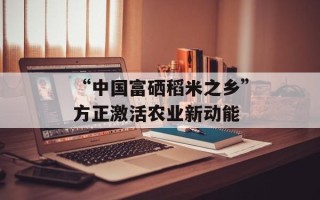 “中国富硒稻米之乡”方正激活农业新动能