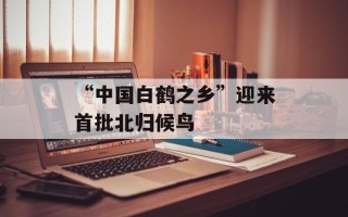 “中国白鹤之乡”迎来首批北归候鸟