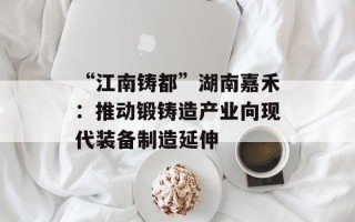 “江南铸都”湖南嘉禾：推动锻铸造产业向现代装备制造延伸