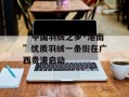 “中国羽绒之乡·港南”优质羽绒一条街在广西贵港启动
