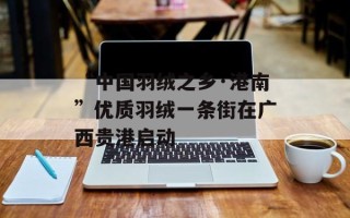 “中国羽绒之乡·港南”优质羽绒一条街在广西贵港启动