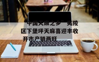 “中国天麻之乡”夷陵区下堡坪天麻喜迎丰收 开市产销两旺