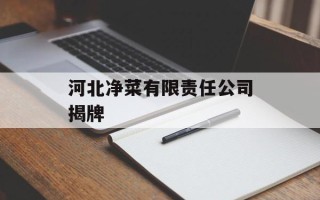 河北净菜有限责任公司揭牌
