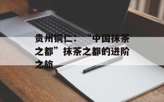 贵州铜仁：“中国抹茶之都”抹茶之都的进阶之旅