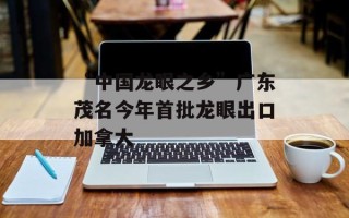 “中国龙眼之乡”广东茂名今年首批龙眼出口加拿大