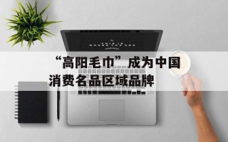 “高阳毛巾”成为中国消费名品区域品牌