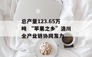 总产量123.65万吨 “苹果之乡”洛川全产业链协同发力