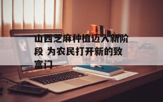山西芝麻种植迈入新阶段 为农民打开新的致富门