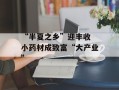 “半夏之乡”迎丰收 小药材成致富“大产业”