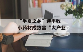 “半夏之乡”迎丰收 小药材成致富“大产业”
