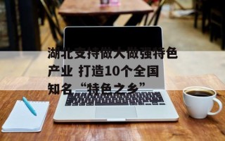 湖北支持做大做强特色产业 打造10个全国知名“特色之乡”
