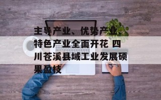 主导产业、优势产业、特色产业全面开花 四川苍溪县域工业发展硕果盈枝