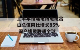上半年福建电线电缆出口总值同比增长85% 闽产线缆联通全球