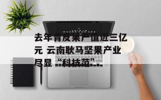 去年青皮果产值近三亿元 云南耿马坚果产业尽显“科技范”