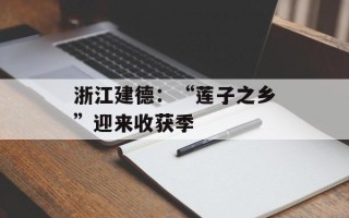 浙江建德：“莲子之乡”迎来收获季