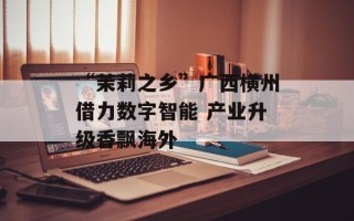 “茉莉之乡”广西横州借力数字智能 产业升级香飘海外