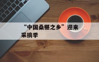 “中国桑椹之乡”迎来采摘季