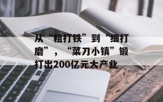 从“粗打铁”到“细打磨”，“菜刀小镇”锻打出200亿元大产业