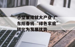 小坚果成就大产业 广东阳春将“绿色家底”转化为发展优势
