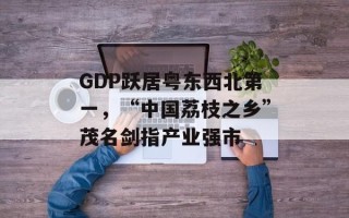 GDP跃居粤东西北第一，“中国荔枝之乡”茂名剑指产业强市