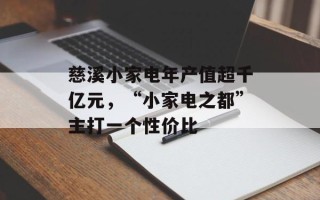 慈溪小家电年产值超千亿元，“小家电之都”主打一个性价比