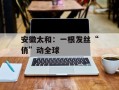 安徽太和：一根发丝“俏”动全球