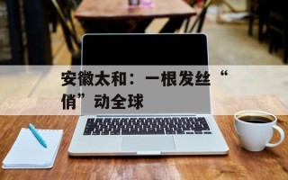 安徽太和：一根发丝“俏”动全球